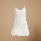 Dames slim fit mini jurk met kwastjes en pailletten Jelle Jora Mode