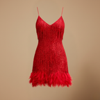 Dames slim fit mini jurk met kwastjes en pailletten Jelle Jora Mode